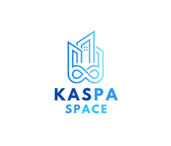 Kaspa Space